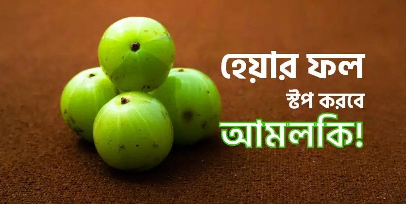 হেয়ার ফল স্টপ করবে আমলকি!